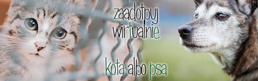 zaadoptuj